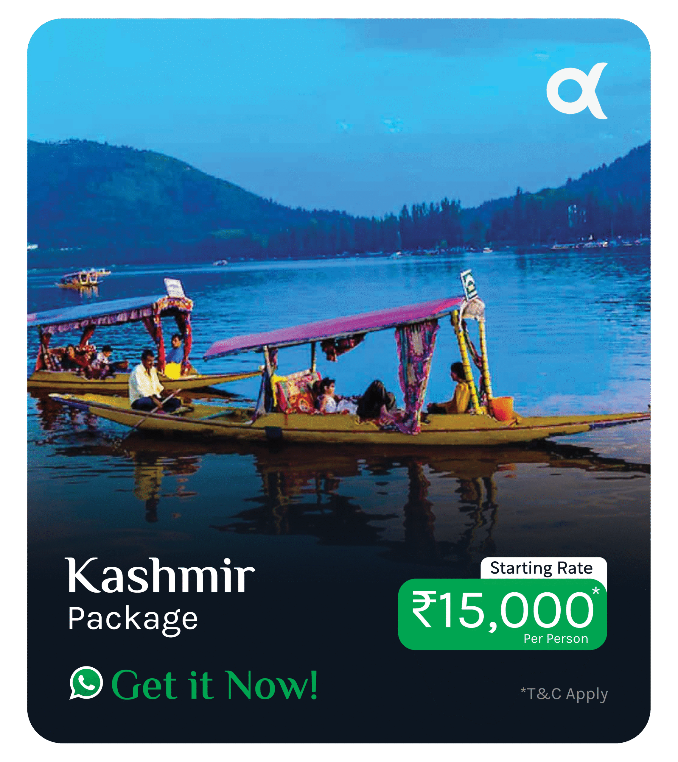 Alpha Poster_Slides_Fireflys-07