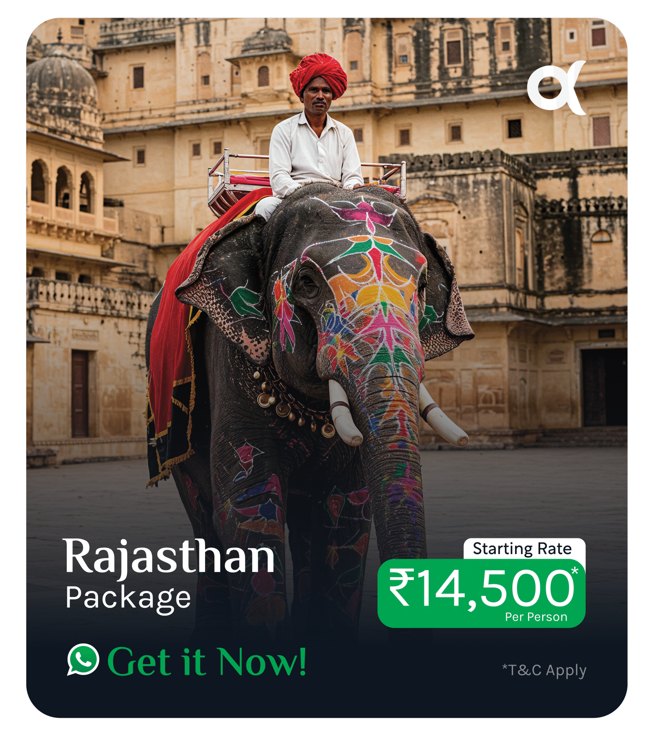 Alpha-Poster_Slides_Fireflys-09-scaled